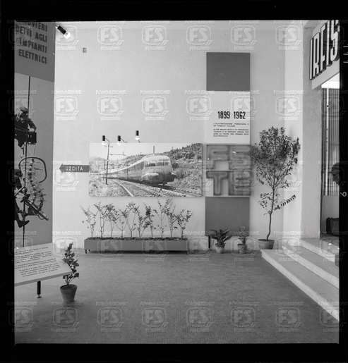 NEG_25063N_25401V.tif