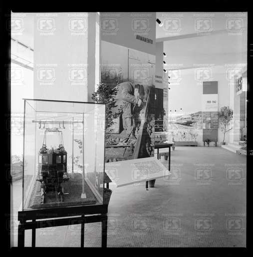 NEG_25065N_25403V.tif