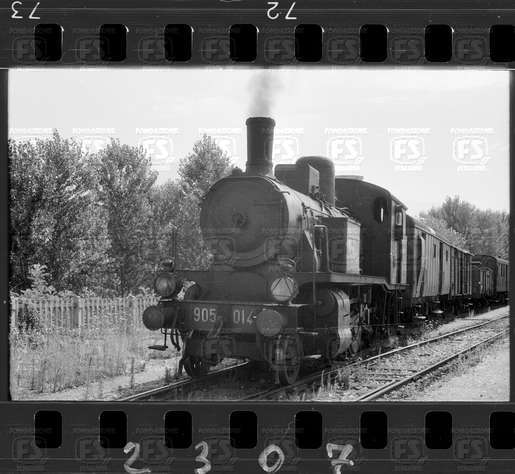 NEG_CDM_2307.tif