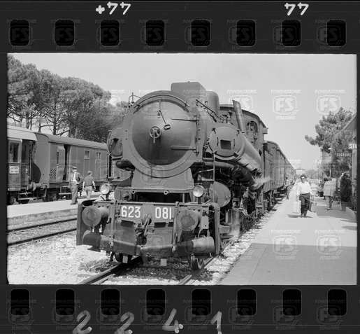 NEG_CDM_2241.tif