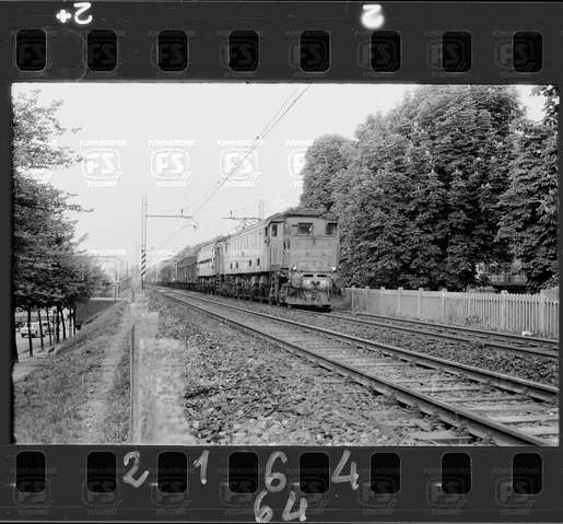 NEG_CDM_2164.tif