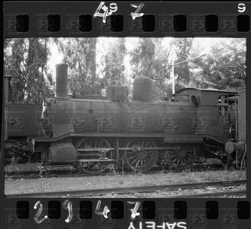 NEG_CDM_2947.tif