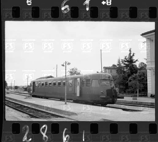 NEG_CDM_2861.tif