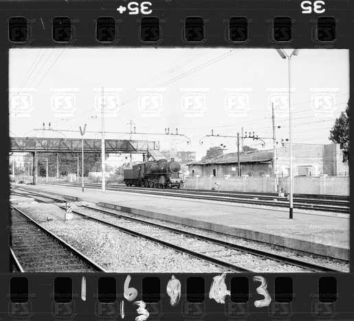 NEG_CDM_1613.tif