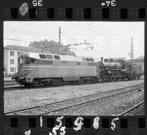 NEG_CDM_1555.tif