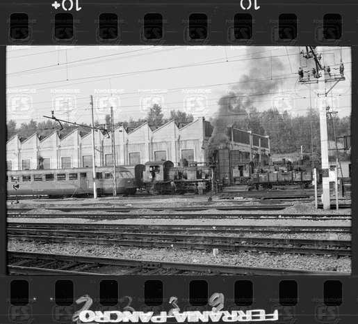 NEG_CDM_2339.tif