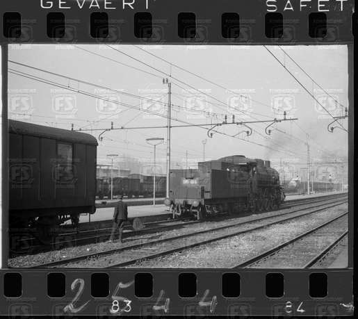 NEG_CDM_2544.tif