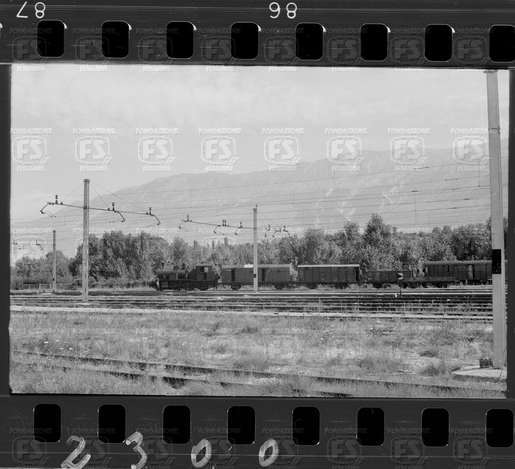 NEG_CDM_2300.tif