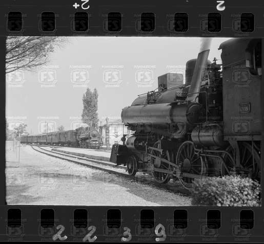 NEG_CDM_2239.tif