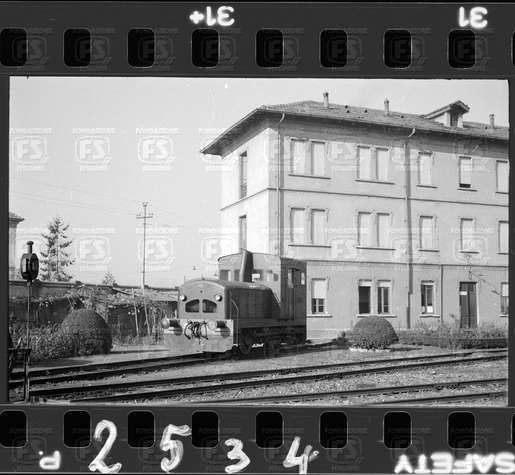 NEG_CDM_2534.tif