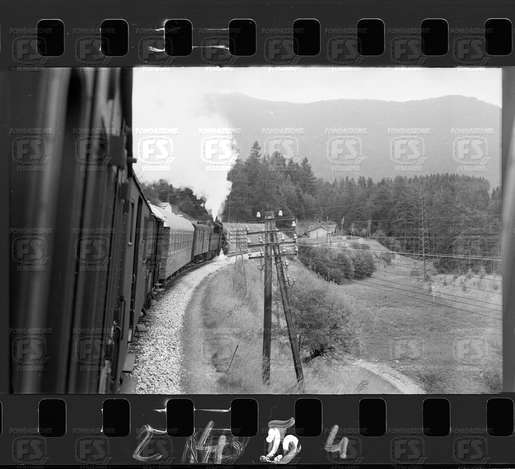 NEG_CDM_2454.tif