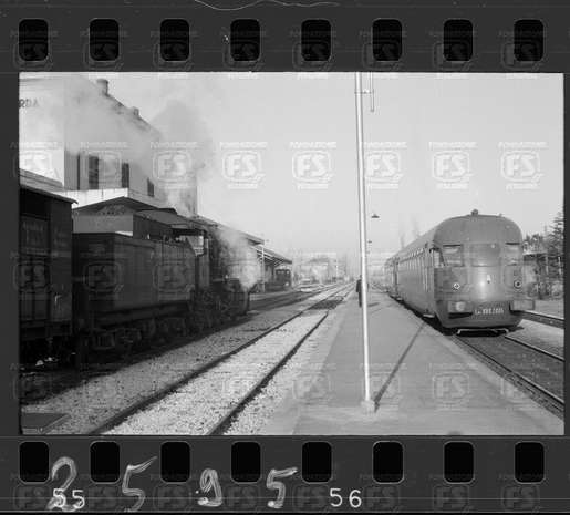 NEG_CDM_2595.tif