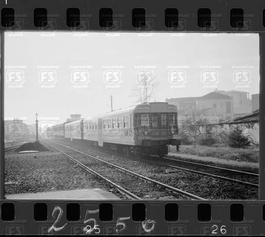 NEG_CDM_2550.tif